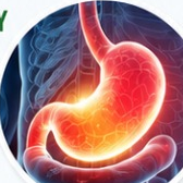 Stomach Anatomy & Digestive Health at Humane Clinic Jammu